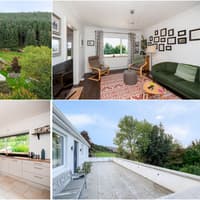 PICTURES: 'Scenic, spectacular' property for sale in rural Carlow for under €400K