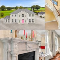 PICTURES: Carlow mansion on almost 2 acres for sale for less than €700K