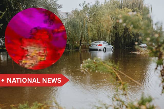 Flooding, power outages, fallen trees and dangerous travelling conditions among the potential impacts