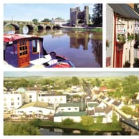 PICTURES: The stunning Carlow town celebrating huge tidy towns success