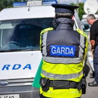 Garda work-to-rule highlights ‘increase in chaos’ in justice system – Sinn Féin