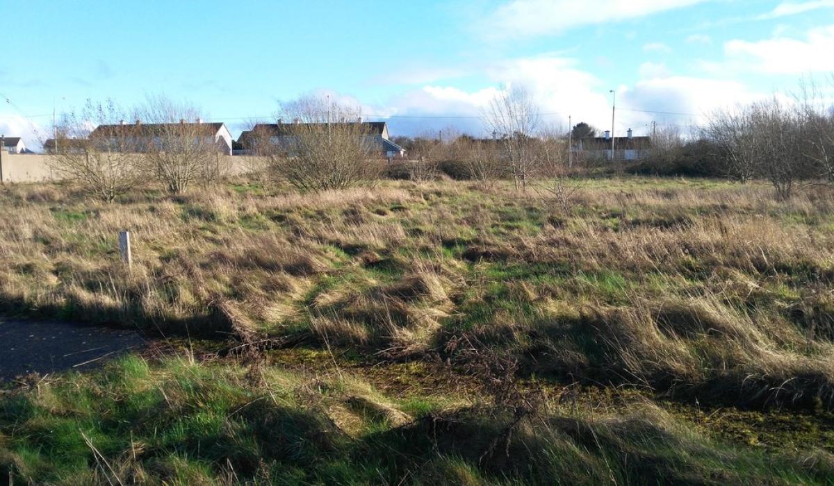 PROPERTY Over ten acres of zoned residential land on sale in Rathvilly