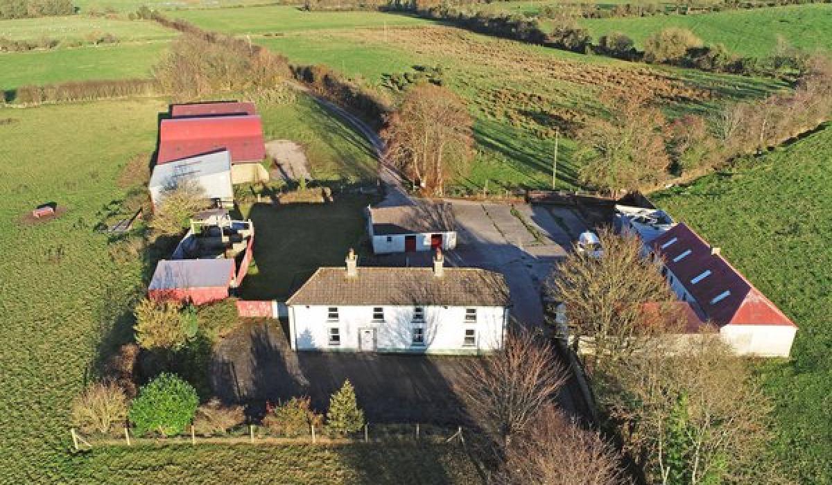 Agricultural land and farmhouse in Hacketstown to go up for public