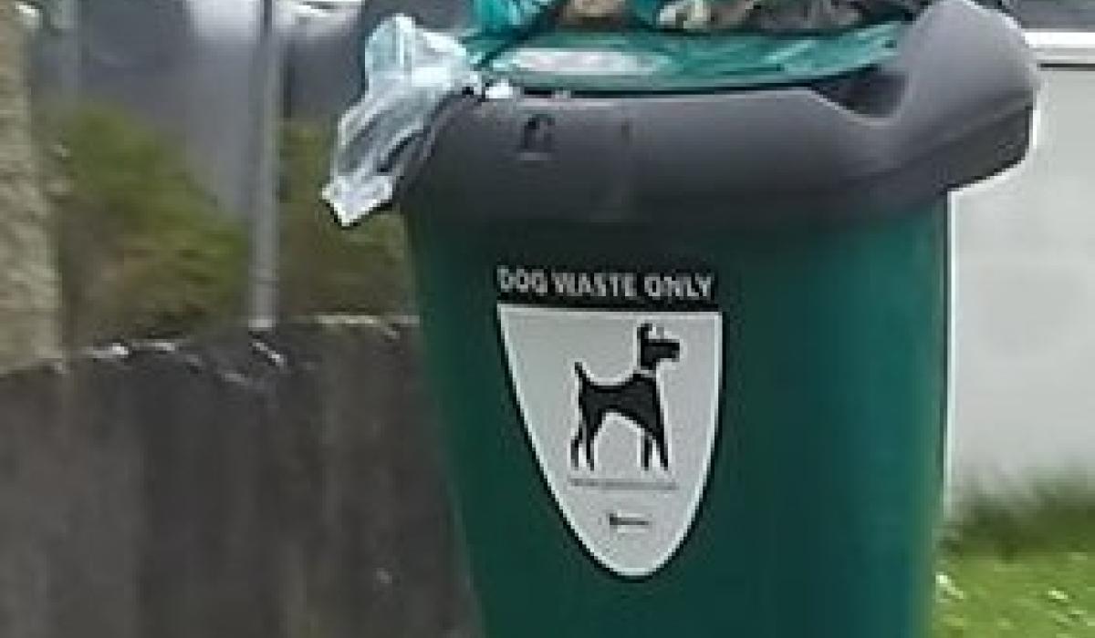 Council issues warning as Carlow's misused dog poo bins causing 'significant problems' Carlow Live