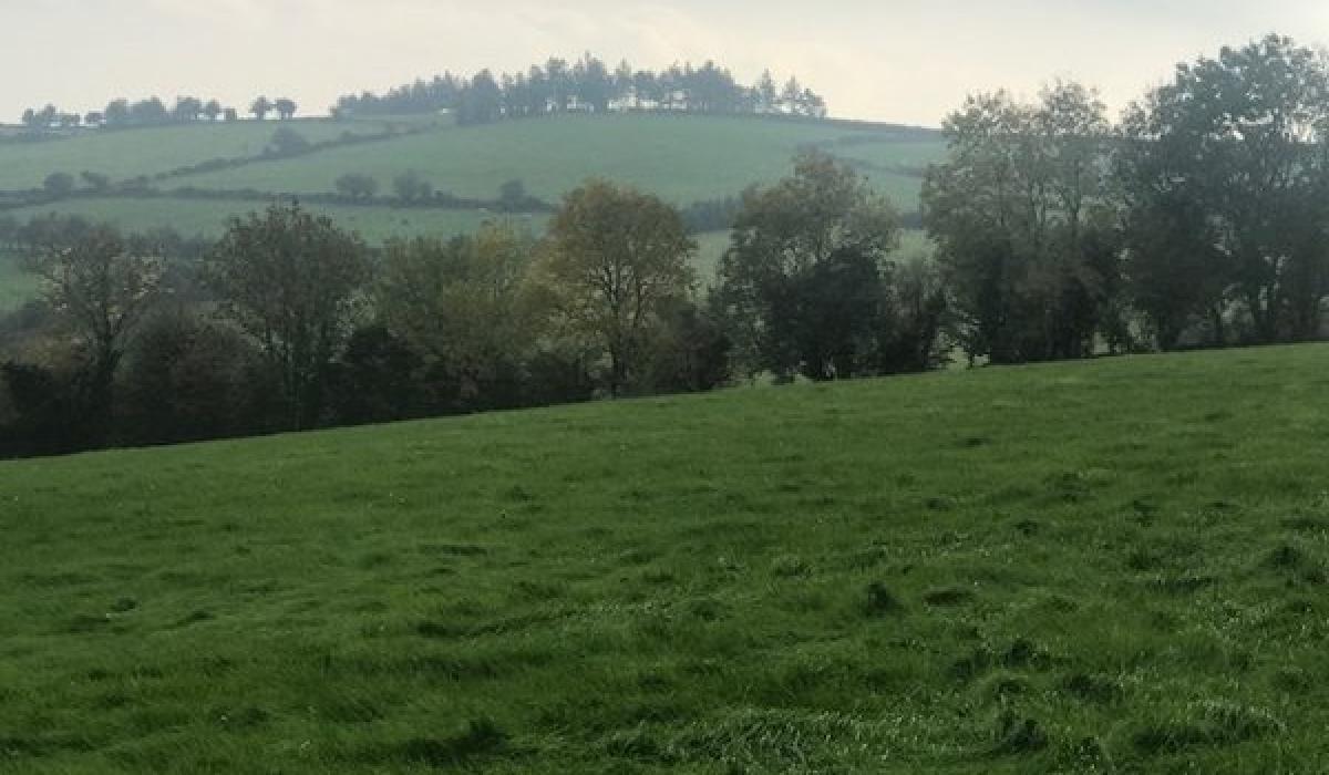 PROPERTY Four acres of agricultural land on sale for €100,000 in Old