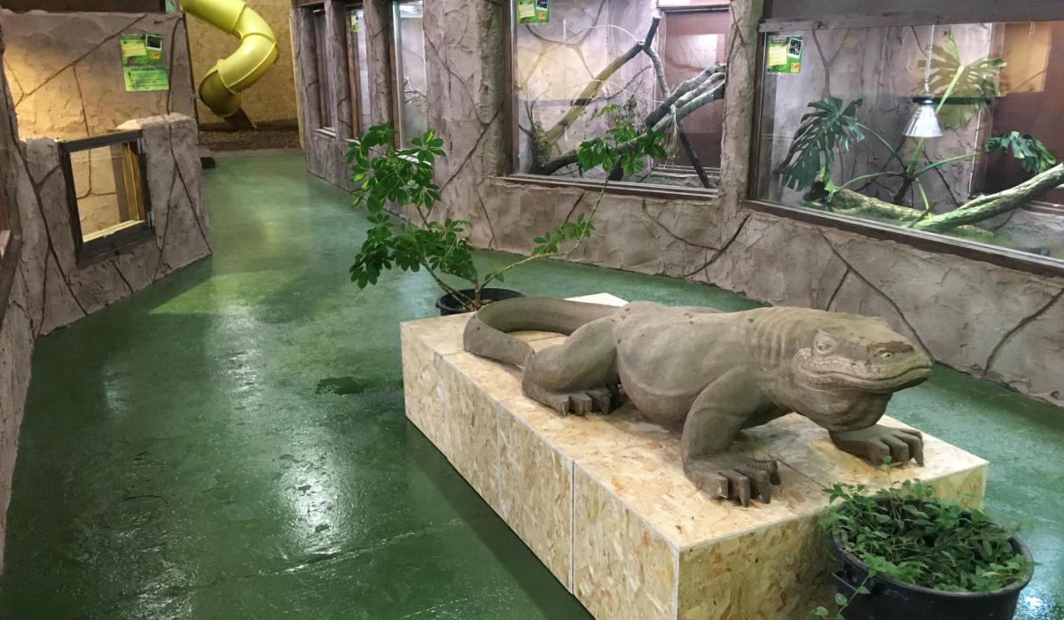 Revealed Great reaction as National Reptile Zoo opens in neighbouring