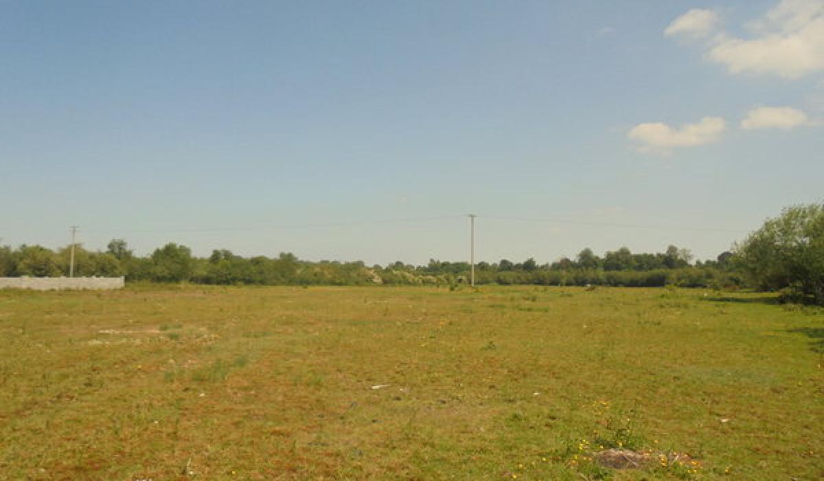 Over 13 acres of agricultural land up for sale next to Barrowside