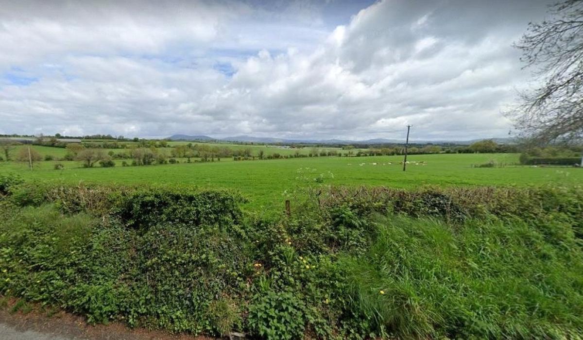 Over 20 acres of land in north Carlow to go up for sale in public