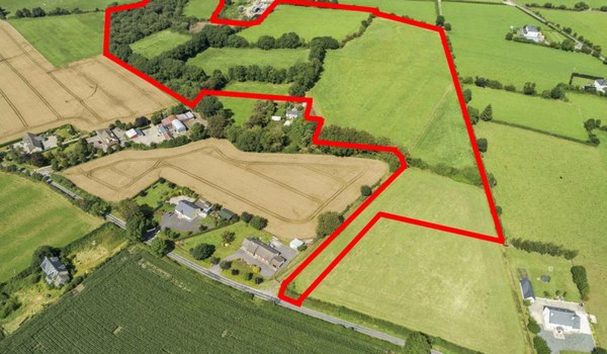 Revealed Over 30 acres of agricultural land in Carlow to go on sale by