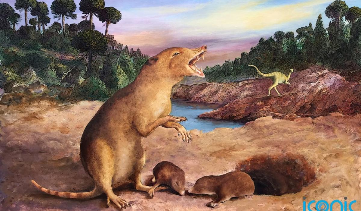 Earliest known 'shrewlike' mammal identified using fossils dated back 225 million years ago