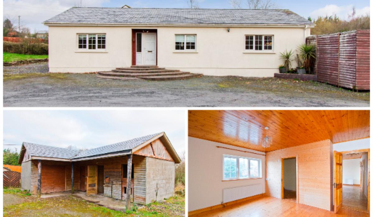 Carlow house hunters! A most unusual cottage on half acre Carlow Live