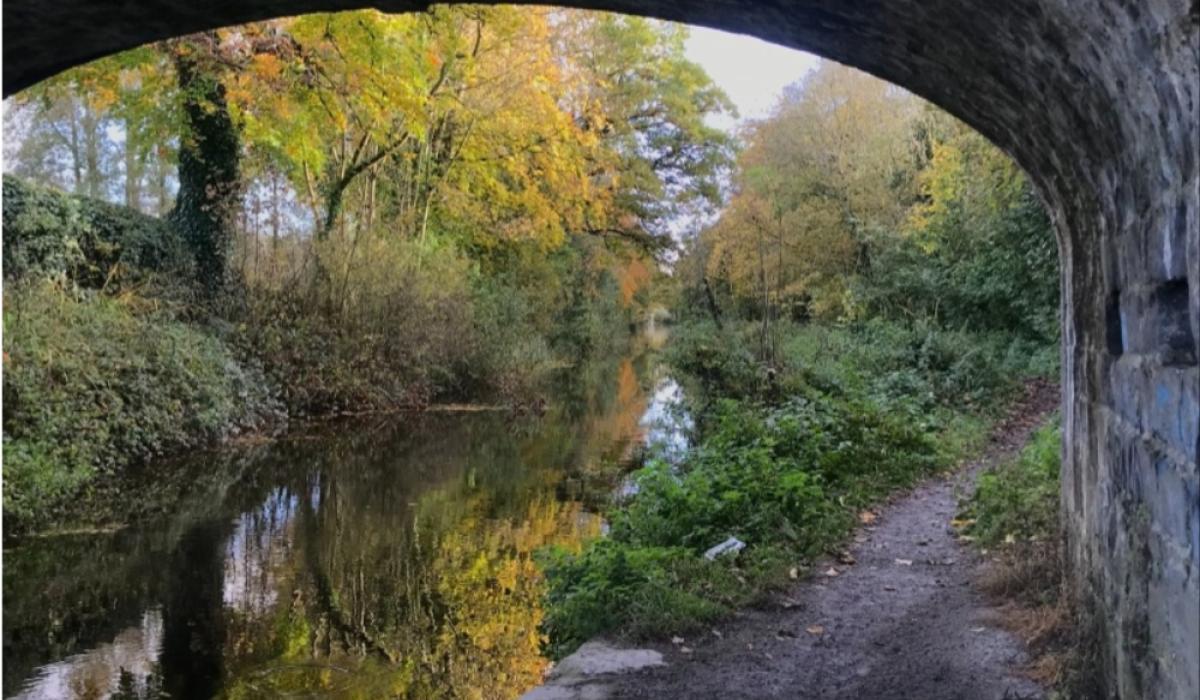 This Carlow location was revealed as one of the best hidden gems in