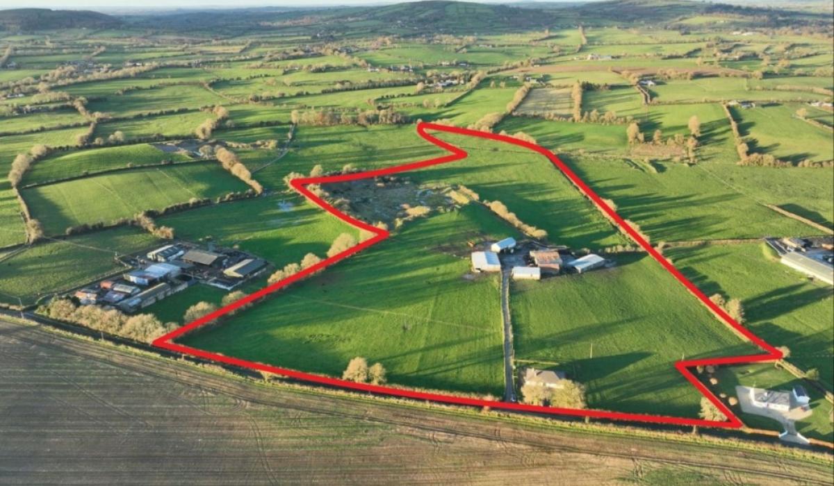 This residence and farmland on a thirtyeight acre site in Carlow is up