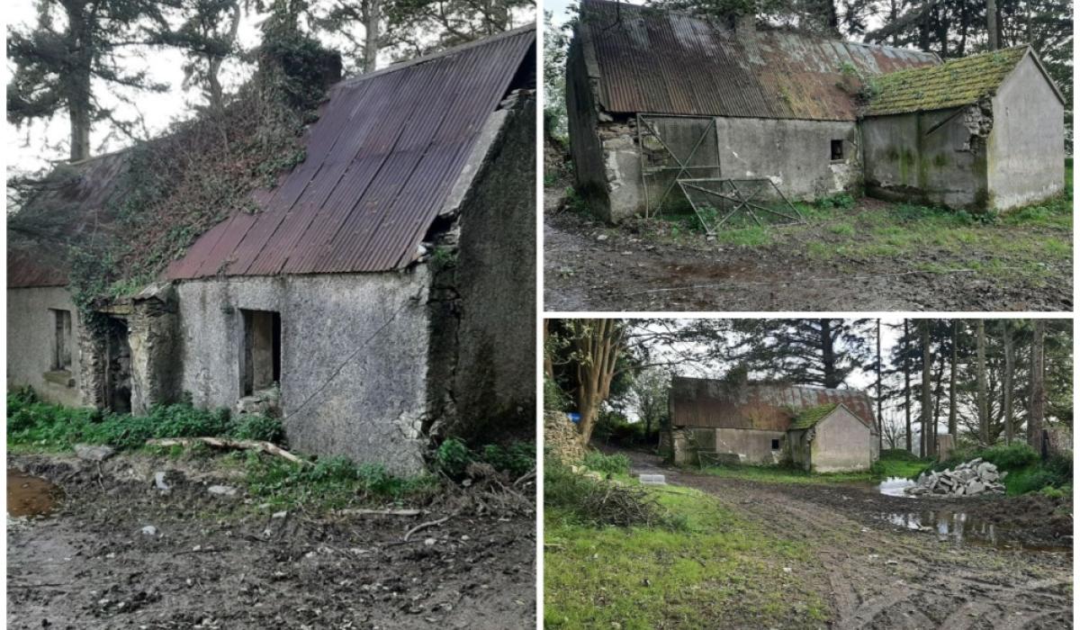 Calling all DIYers! Derelict house with huge potential going for just €