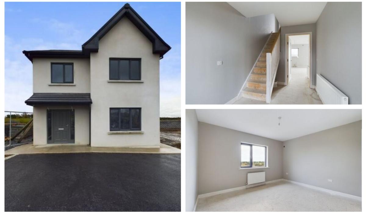PICTURES New build home for sale in Rathvilly Carlow for under €