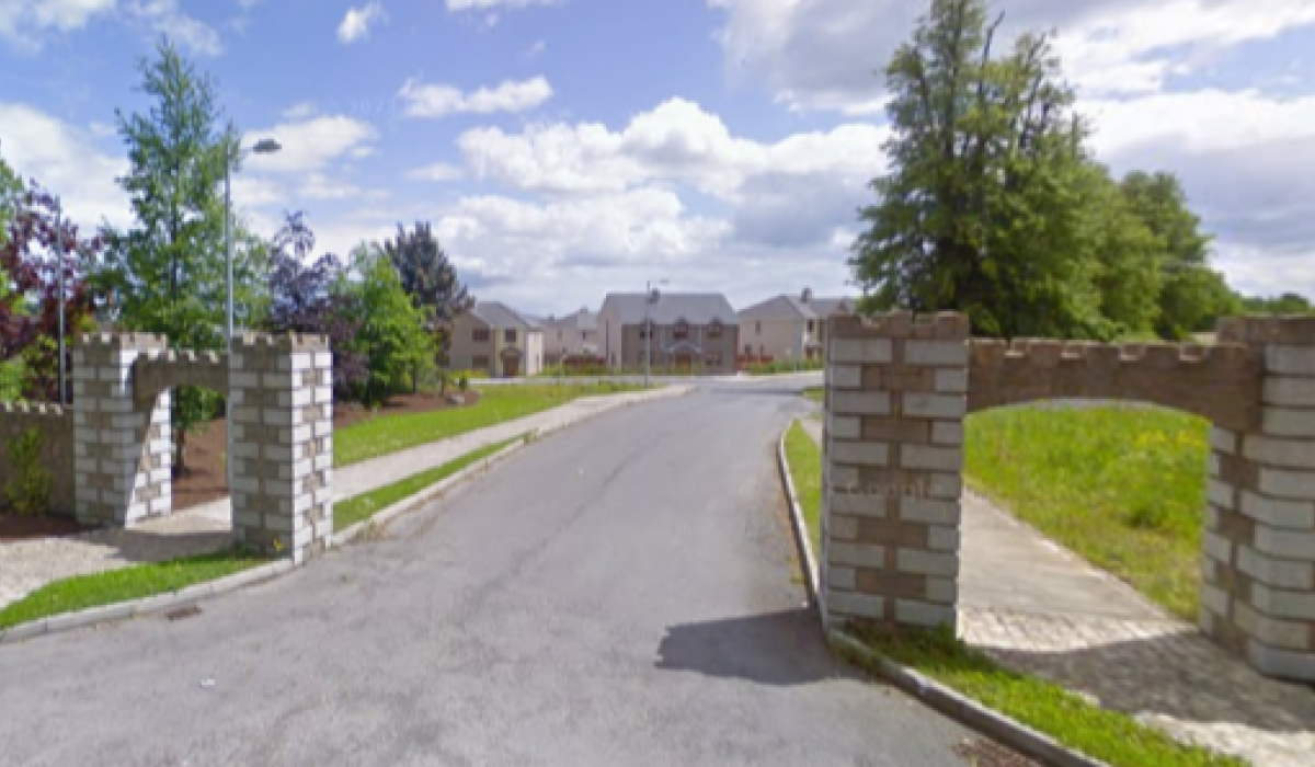 Planning permission received to build 14 new homes in County Carlow