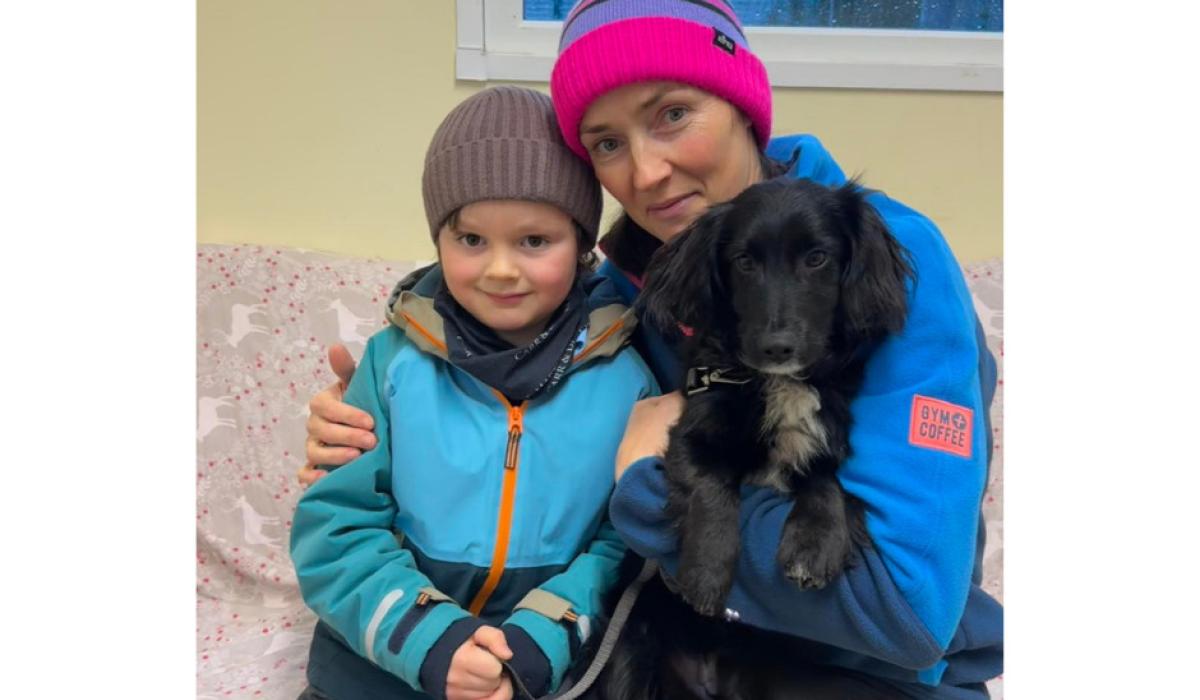 'What a lucky pup'- Mum and son duo adopt CoCo the puppy from Carlow dog shelter 