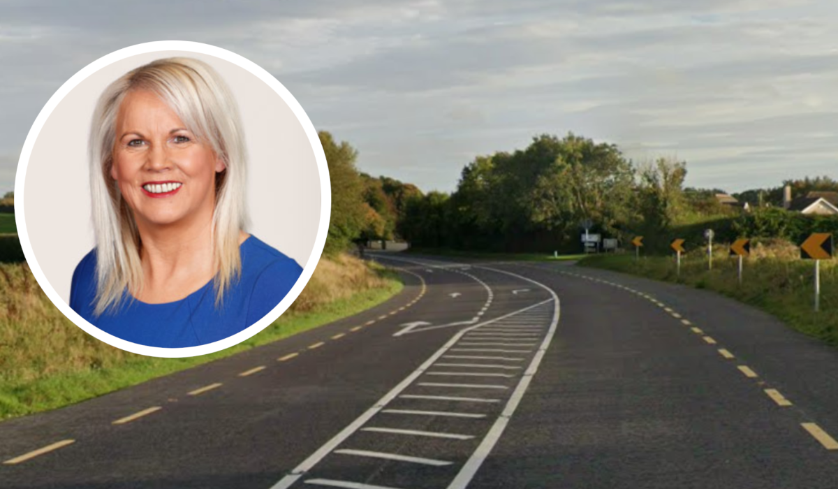 Busy Carlow road ‘no longer fit for purpose’ and needs to be treated ‘as a motorway’