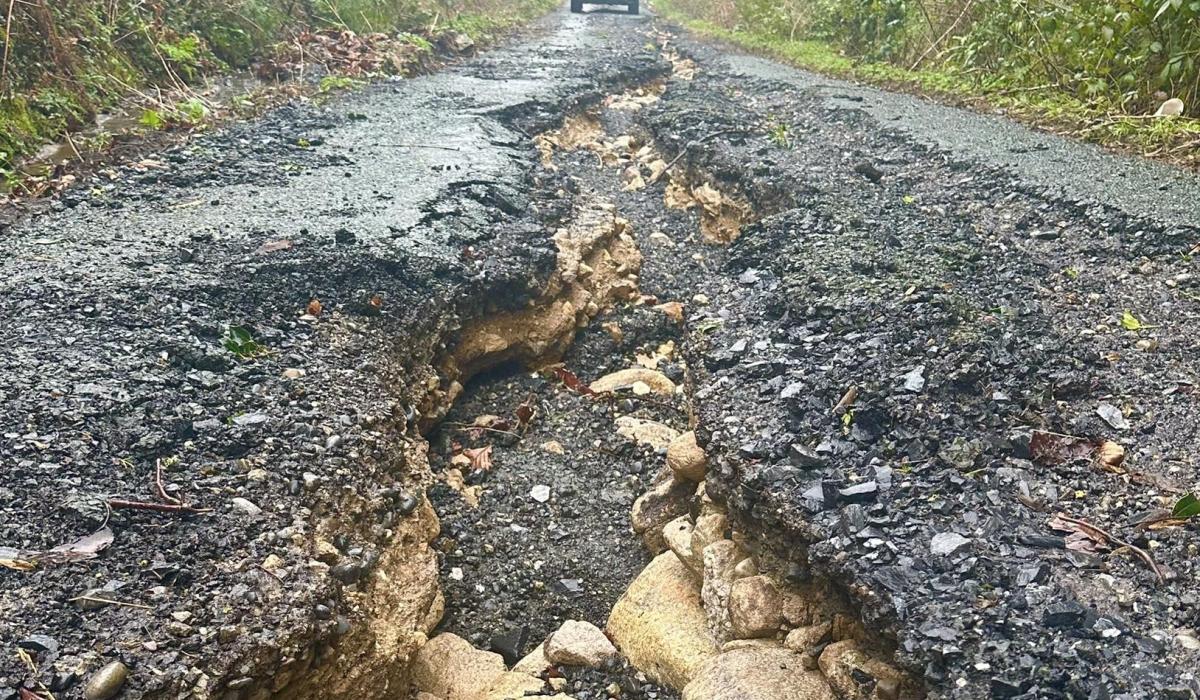'Like an earthquake' - Famous resident sheds like on surely Carlow's worst road