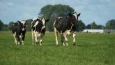 Congratulations! Young man from Carlow makes the final of FBD Young Farmer of the Year 2025