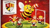 Carlow set to host all-inclusive rugby day next month as Bees welcome players of all ages