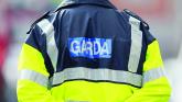 Driver in his 40s killed in early morning collision as Garda&iacute; urge witnesses to come forward