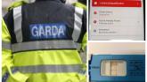 Carlow garda&iacute; swoop as disqualified driver tests positive for shocking cocktail of drugs