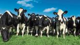 Carlow and Kilkenny farmers allocated over €9.7M under eco-scheme