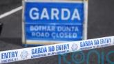 Man dies in hospital following Co Longford crash
