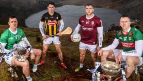 IN PICTURES: Launch of the Allianz hurling and football leagues