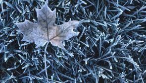 Temperatures could go as low -4C in Carlow over the Bank Holiday weekend 