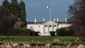 Carlow County Council asked to nominate deceased teenager for presidential election