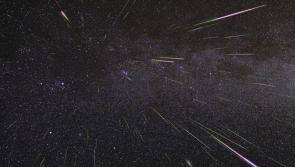 Carlow sky to light up tonight with spectacular meteor shower 