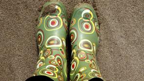 10 things that will help townies blend in at the National Ploughing Championships