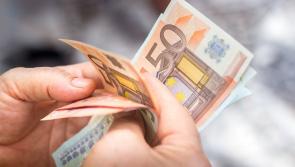 Irish households hosting Ukrainian refugees can now apply for €400 recognition payment