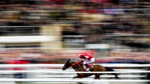 Cheltenham tips for Day 2 - Wednesday, March 11