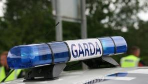 Carlow/Kilkenny Gardaí appeal for witnesses after two young men attempt to rob a woman 
