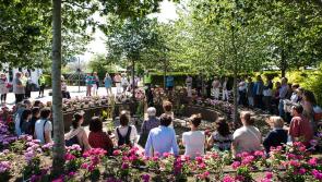 Events and activities this week for Carlow Garden Festival 