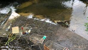 PICTURES: Spate of illegal dumping in Carlow Town