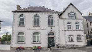 Trans flag to fly over Carlow Town Hall today (Nov 20) in honour of victims of transphobia