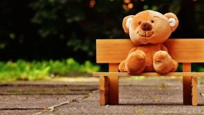 Ireland's most popular kids picnic to take place in Tullow every day up until September