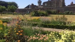 Tearooms at Duckett's Grove to prepare an Afternoon Tea picnic feast 