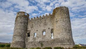 Carlow Castle 3D Model and Illustration on display