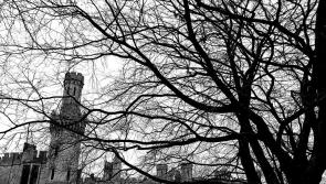 Carlow council seeks applications from caterers to operate new café at historic estate