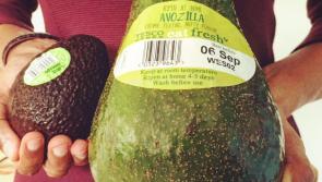 Giant avocados arrive in Carlow for the weekend 