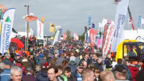 Day Two of the National Ploughing Championships has been cancelled due to Storm Ali 