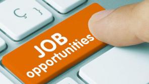 JOBS ALERT: Carlow County Council seeks interested applicants for several job vacancies