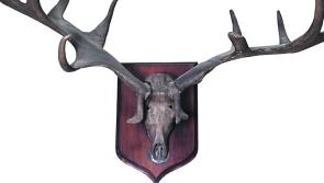 Auction of Milford House contents will see antlers from world's oldest deer go up for sale