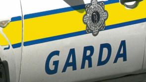 Gardaí appeal for witnesses after man dies in South East car crash