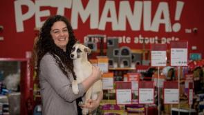 Revealed: Over 300 pets re-homed in Carlow this year through local adoption centre 